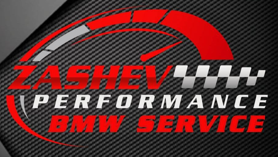 Zashev Performance